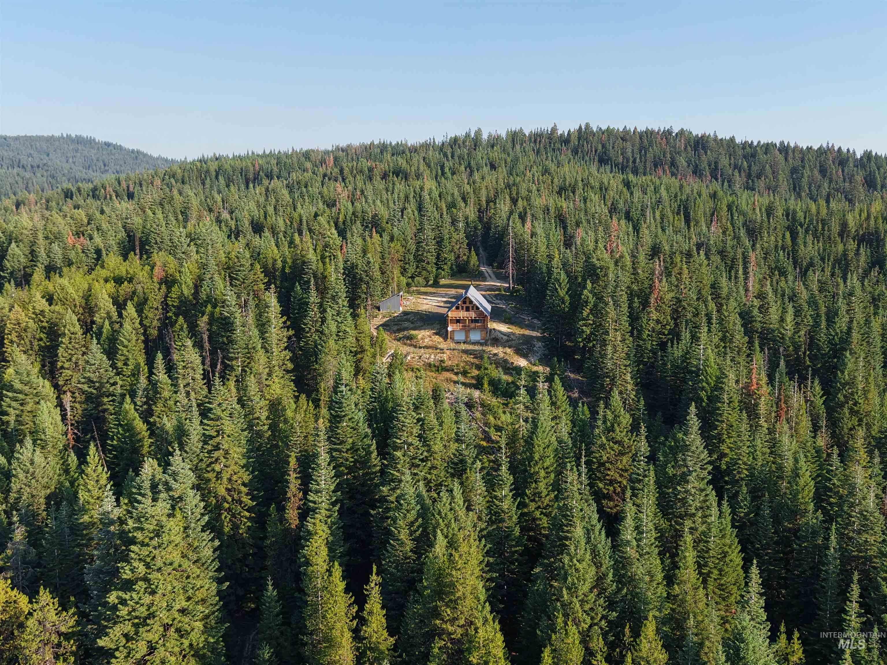 625 Rhett Creek Road Elk City, ID 83525 - Photo 4 of 48 Wood-sided cabin with a gable roof, surrounded by extensive evergreen forestry