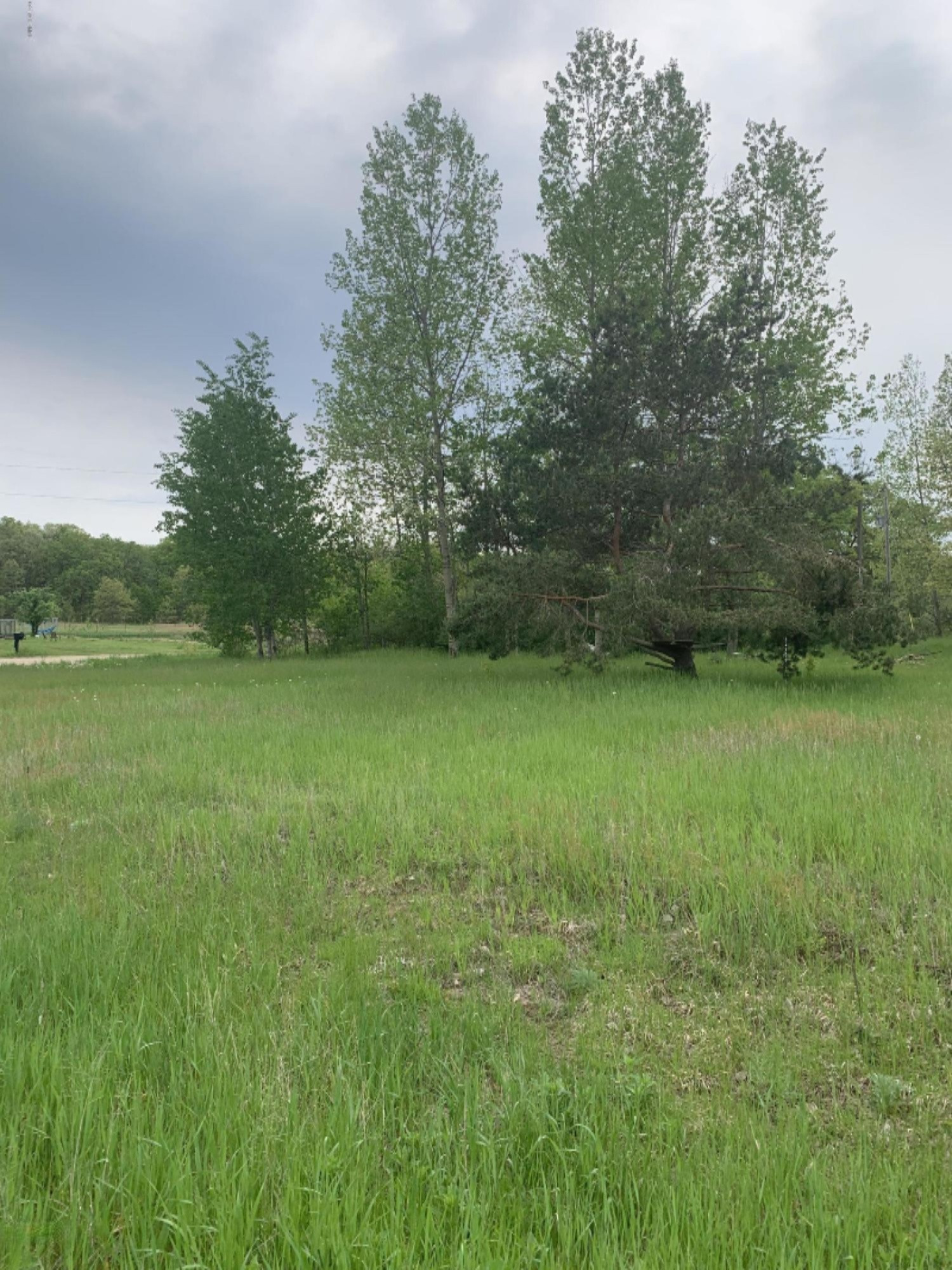 5590 East Arthur Road Hesperia, MI 49421 - Photo 4 of 10 IMG_1720