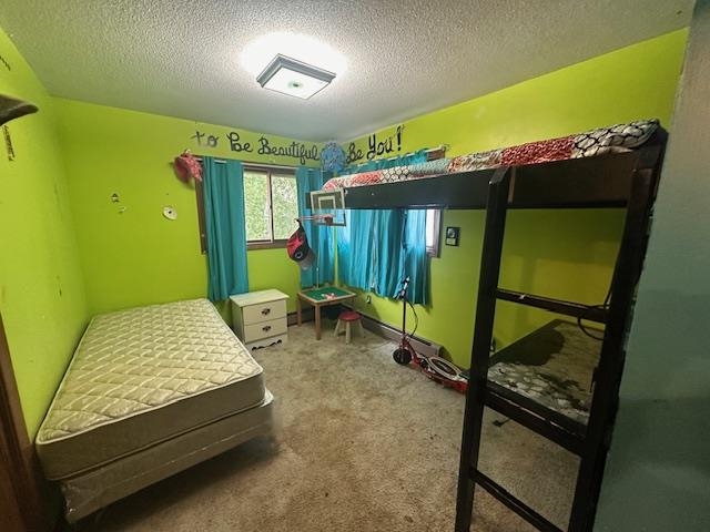 38 Locust Drive Babbitt, MN 55706 - Photo 13 of 29 Bedroom with a textured ceiling and carpet