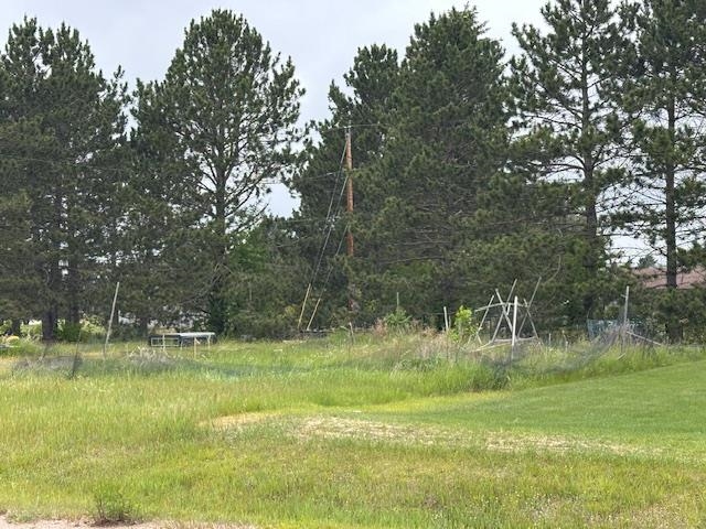 38 Locust Drive Babbitt, MN 55706 - Photo 23 of 29 View of yard