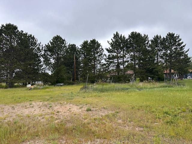 38 Locust Drive Babbitt, MN 55706 - Photo 24 of 29 View of yard