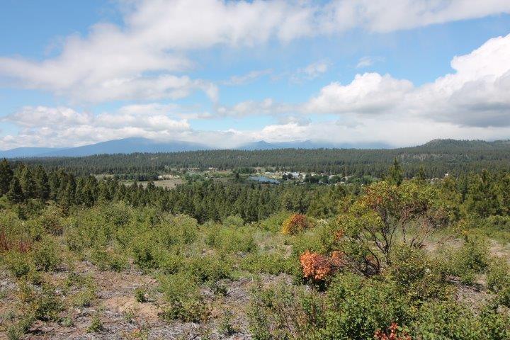 0 Spring Trail Court Chiloquin, OR 97624 - Photo 10 of 27 Additional Photo