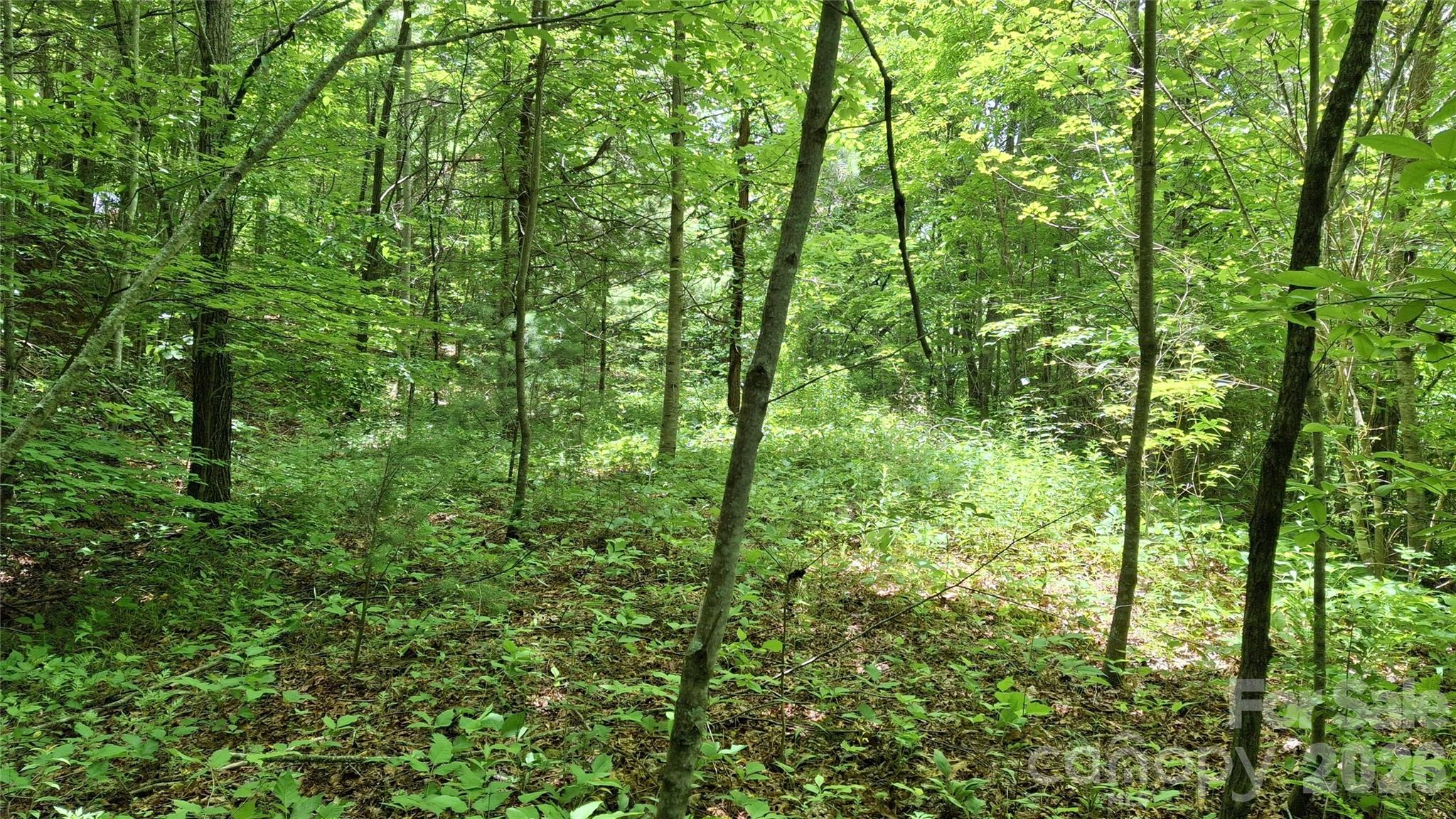 491 Signal Ridge, Unit 25 Sylva, NC 28779 - Photo 6 of 17