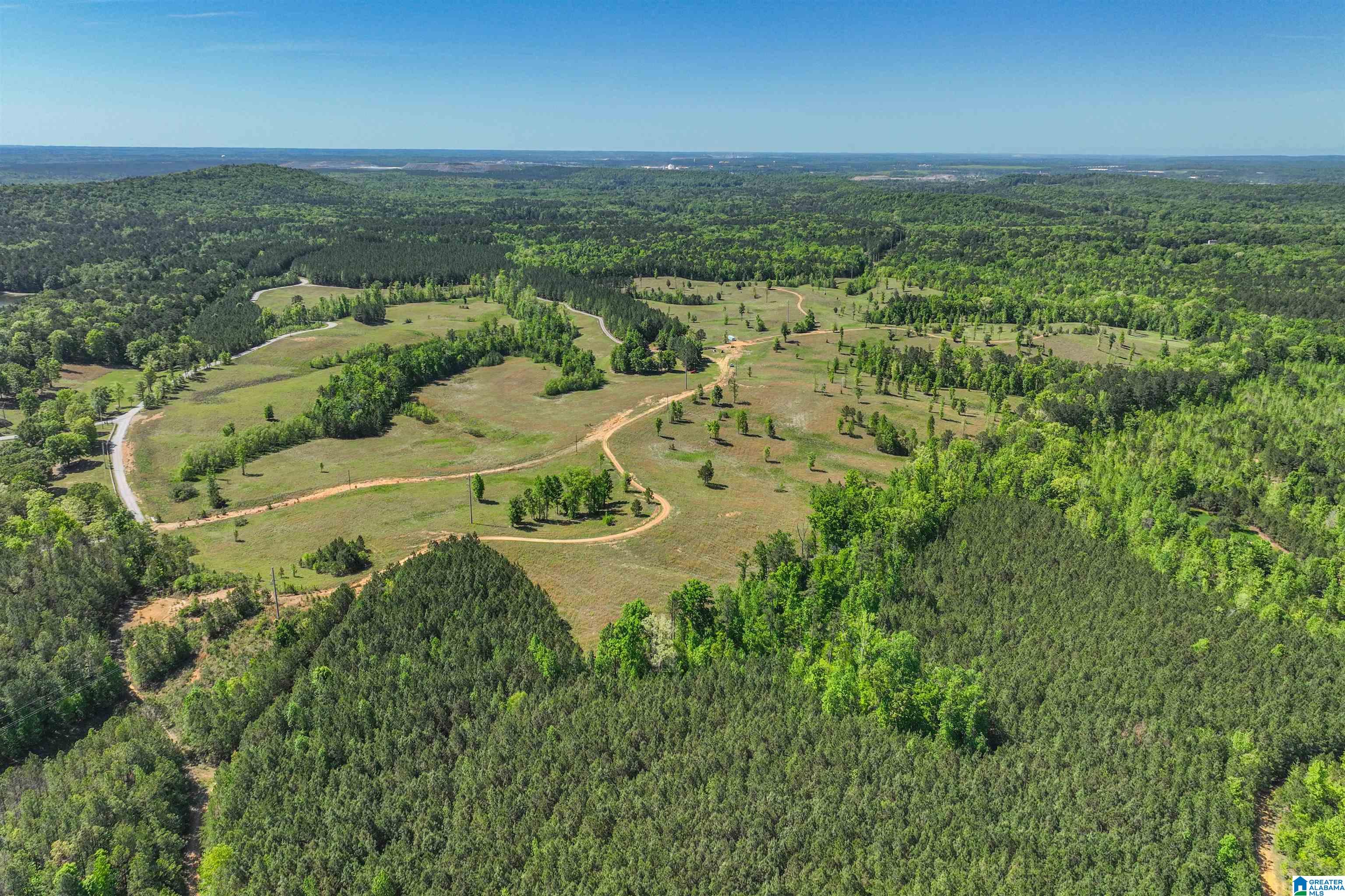 489 4 Wing Lake Road Alabaster, AL 35007 - Photo 2 of 27