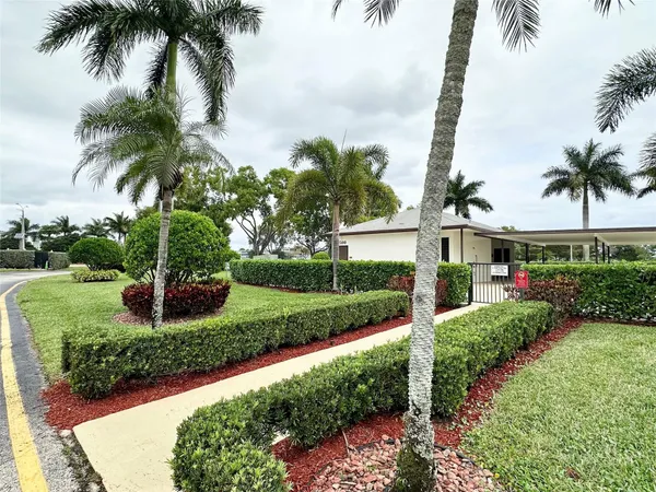 a front view of a garden with palm trees