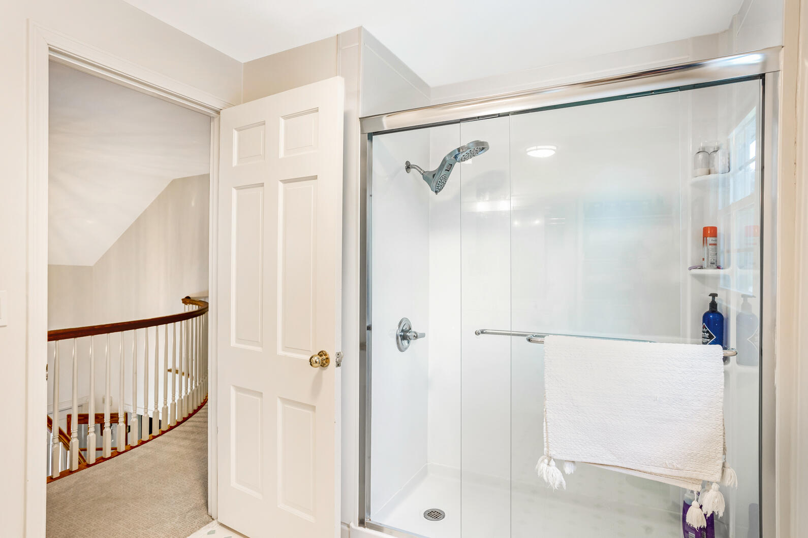 1722 Probert Road Jackson, MI 49203 - Photo 31 of 54 0N0A5896-HDR
