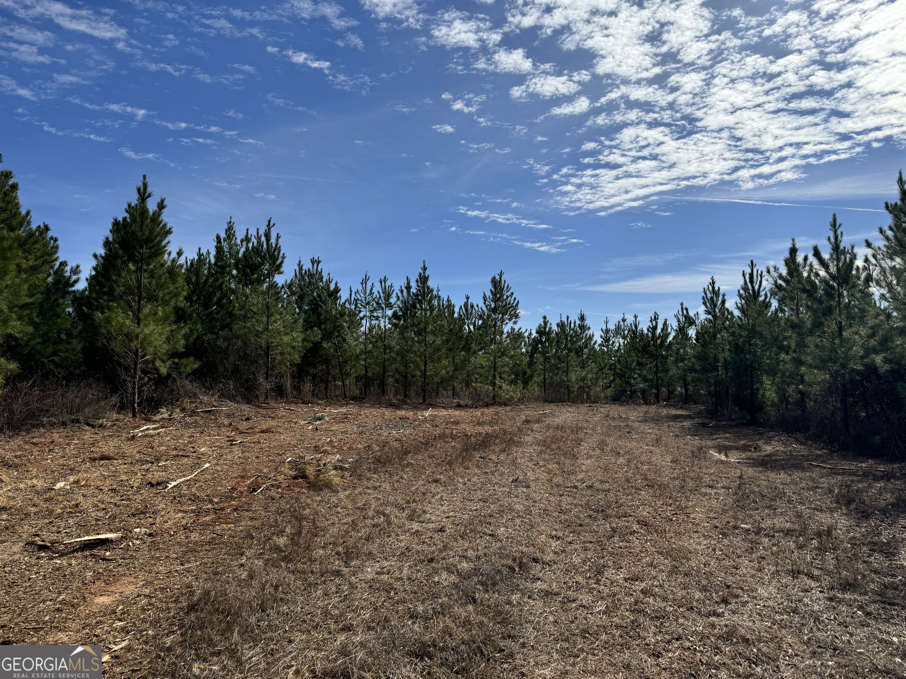 18 Dozier Road Ellaville, GA 31806 - Photo 3 of 5 a view of an outdoor space with mountain view