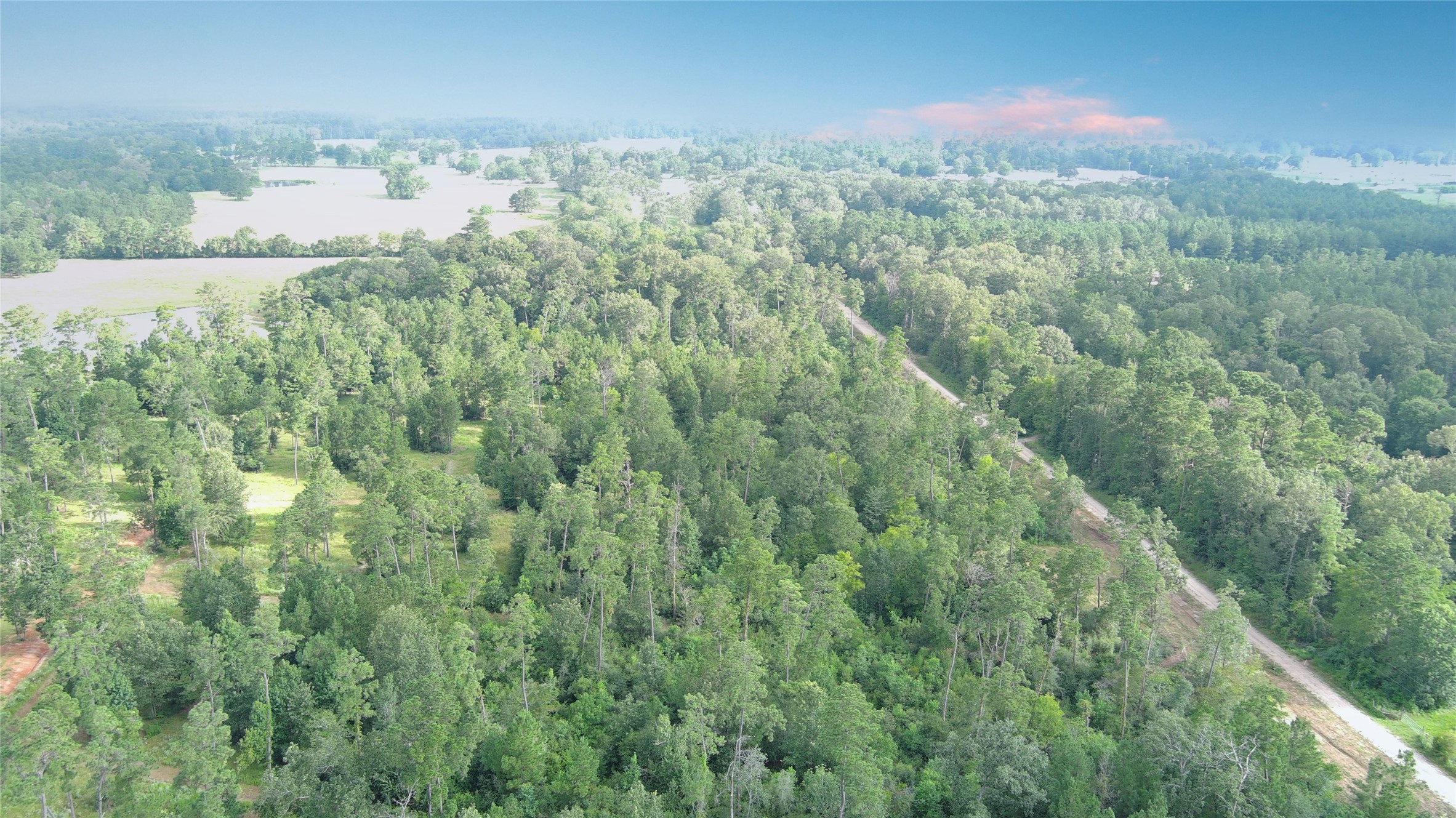 Tbd Gregory Lane New Waverly, TX 77358 - Photo 2 of 7 a view of a city