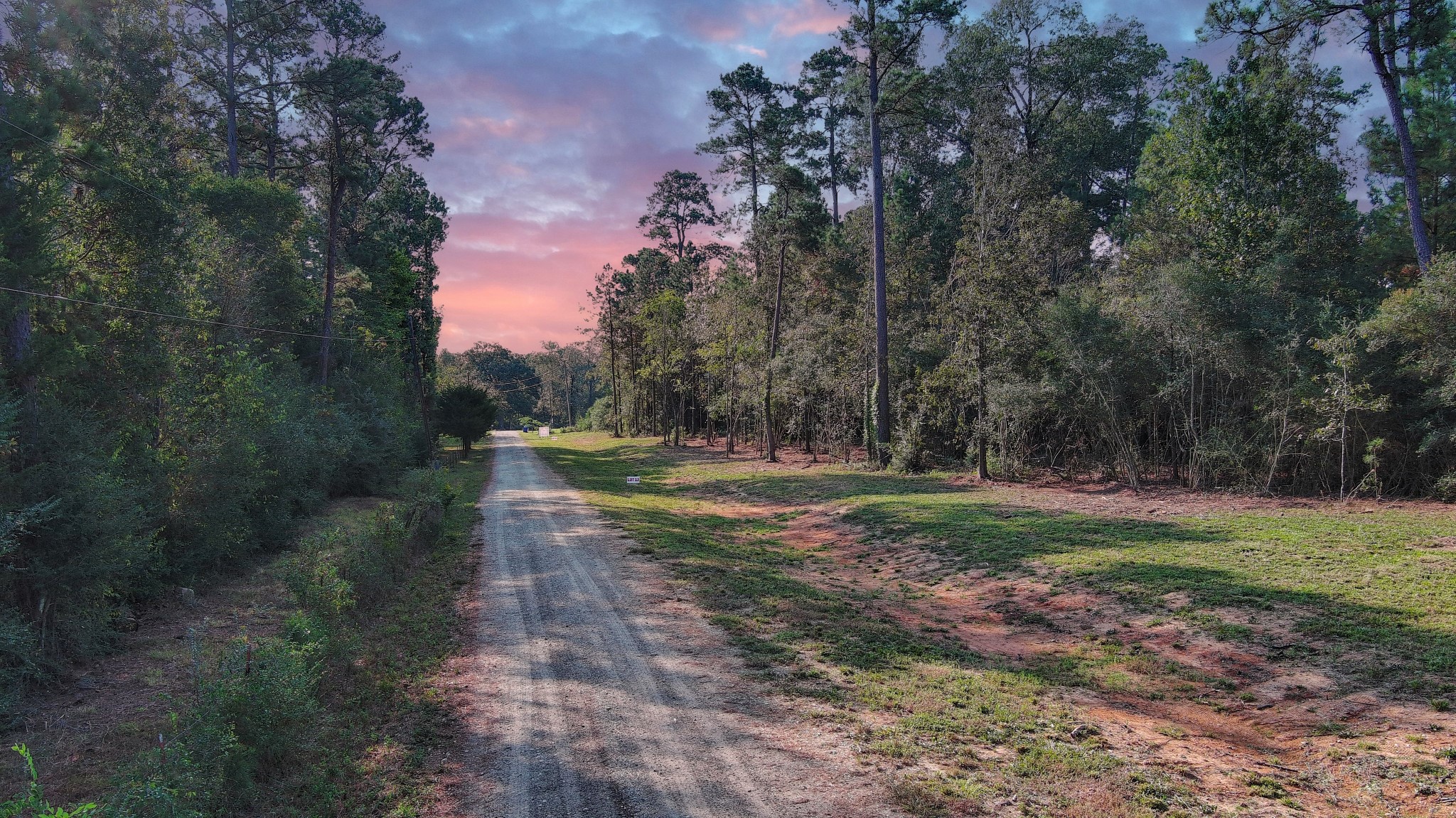 Tbd Gregory Lane New Waverly, TX 77358 - Photo 3 of 7 a view of backyard with green space
