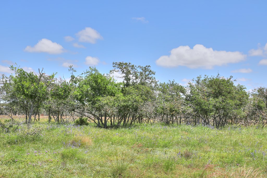 2600 Reservation Road Harper, TX 78631 - Photo 13 of 16