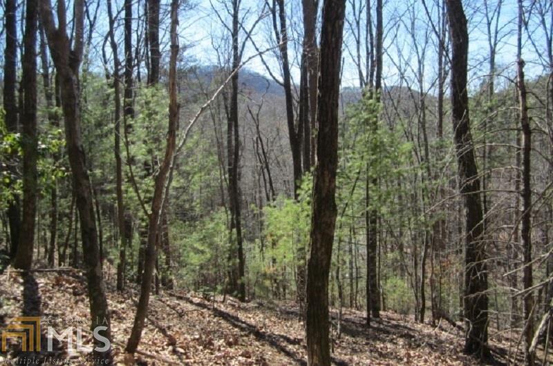 0 Walnut Mountain Road, Unit P2 Ellijay, GA 30536 - Photo 1 of 1 Gallery Image 1