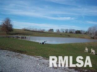3100 Leamington Road Junction, IL 62954 - Photo 4 of 14