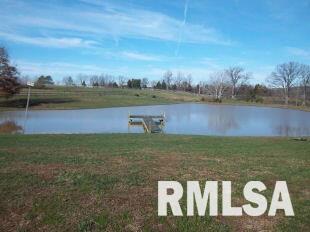 3100 Leamington Road Junction, IL 62954 - Photo 5 of 14
