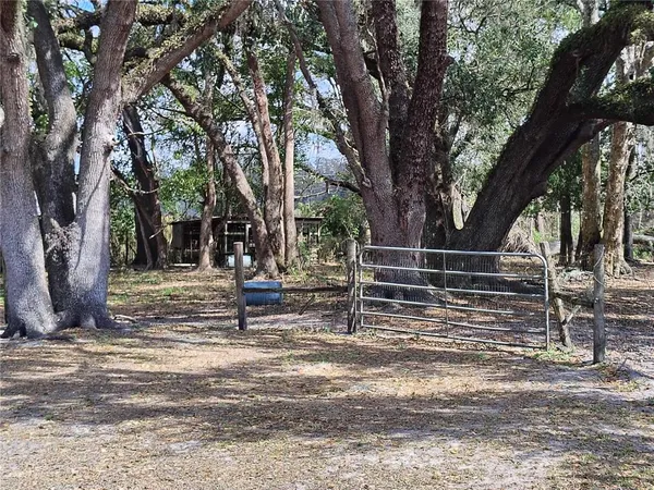 a view of a house with backyard and trees