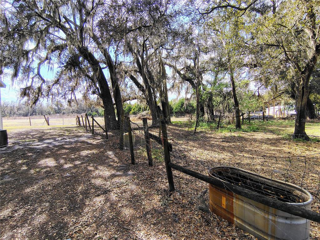 14240 State Rte 471 Webster, FL 33597 - Photo 27 of 54