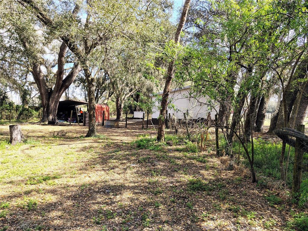 14240 State Rte 471 Webster, FL 33597 - Photo 34 of 54 a view of road with trees