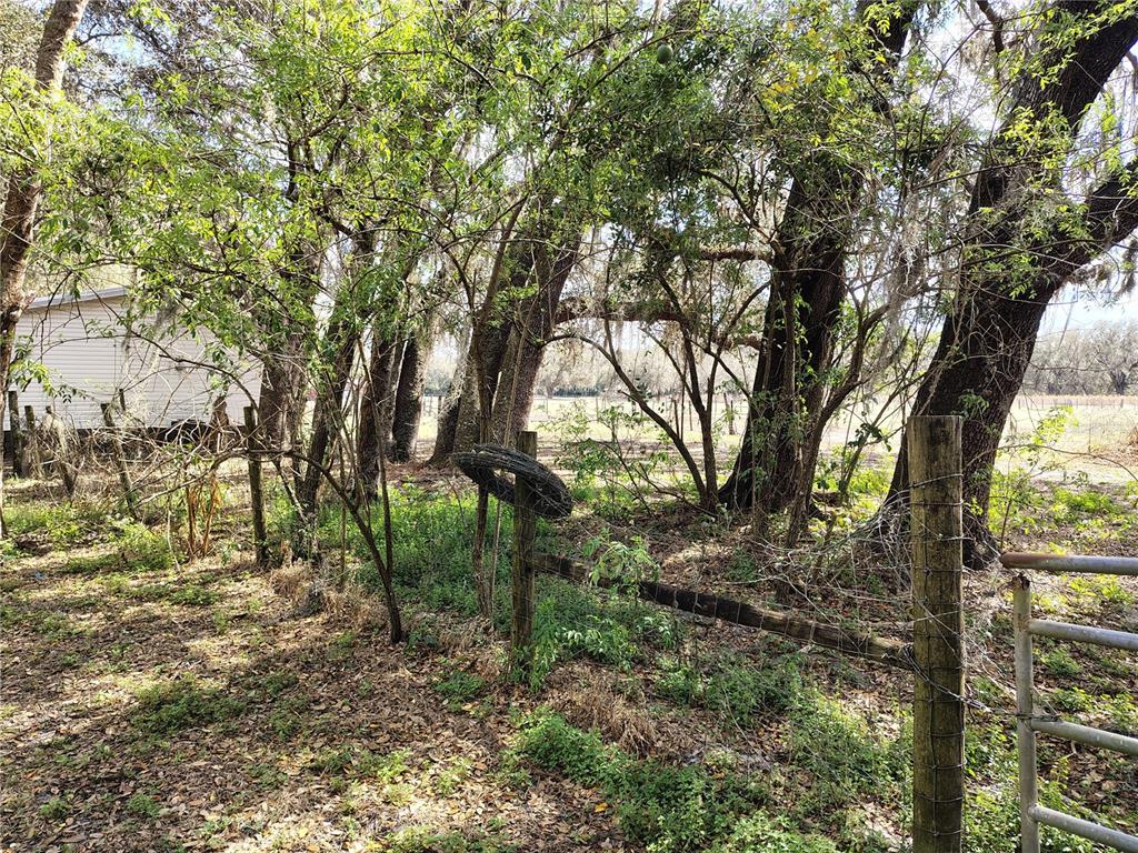 14240 State Rte 471 Webster, FL 33597 - Photo 35 of 54 a view of outdoor space and yard