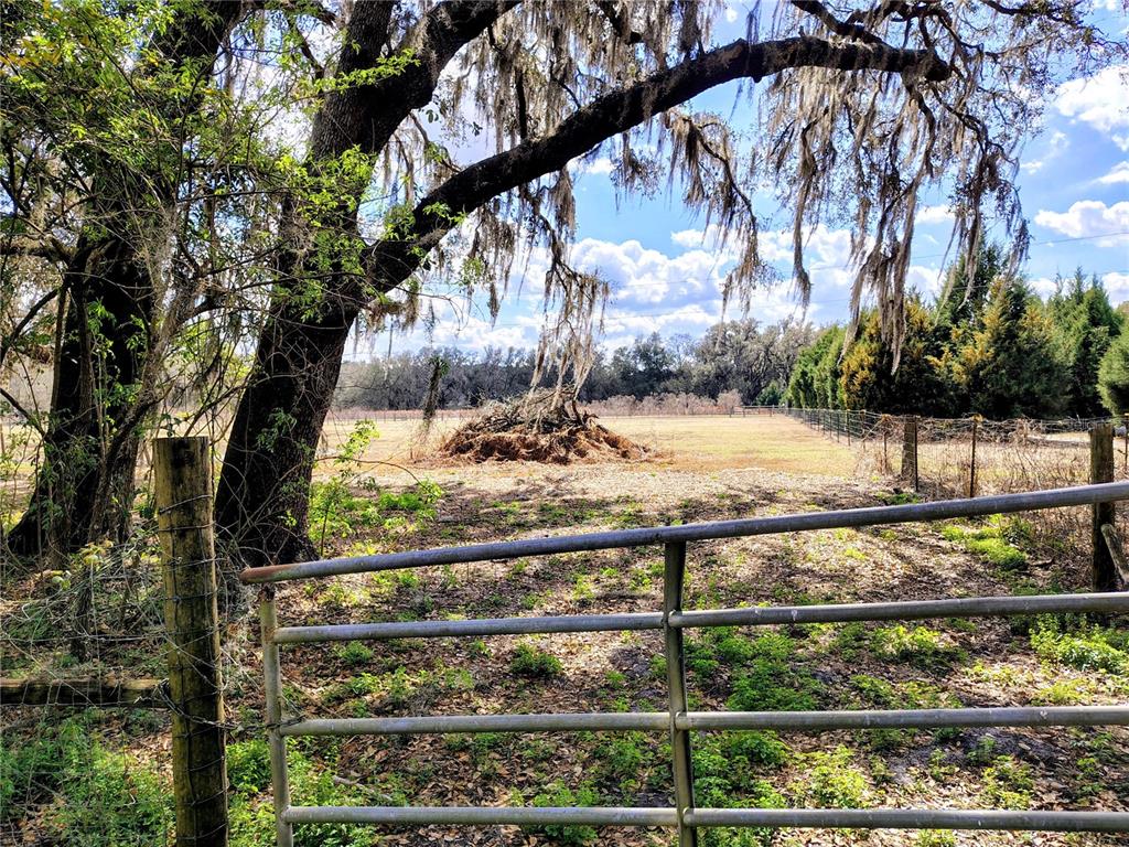 14240 State Rte 471 Webster, FL 33597 - Photo 36 of 54 a view of a yard with wooden fence