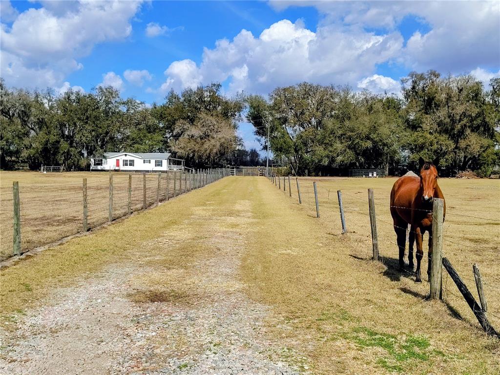 14240 State Rte 471 Webster, FL 33597 - Photo 4 of 54