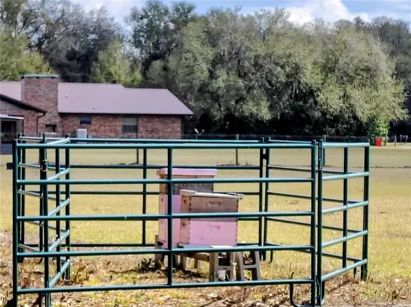 a view of a backyard of the house