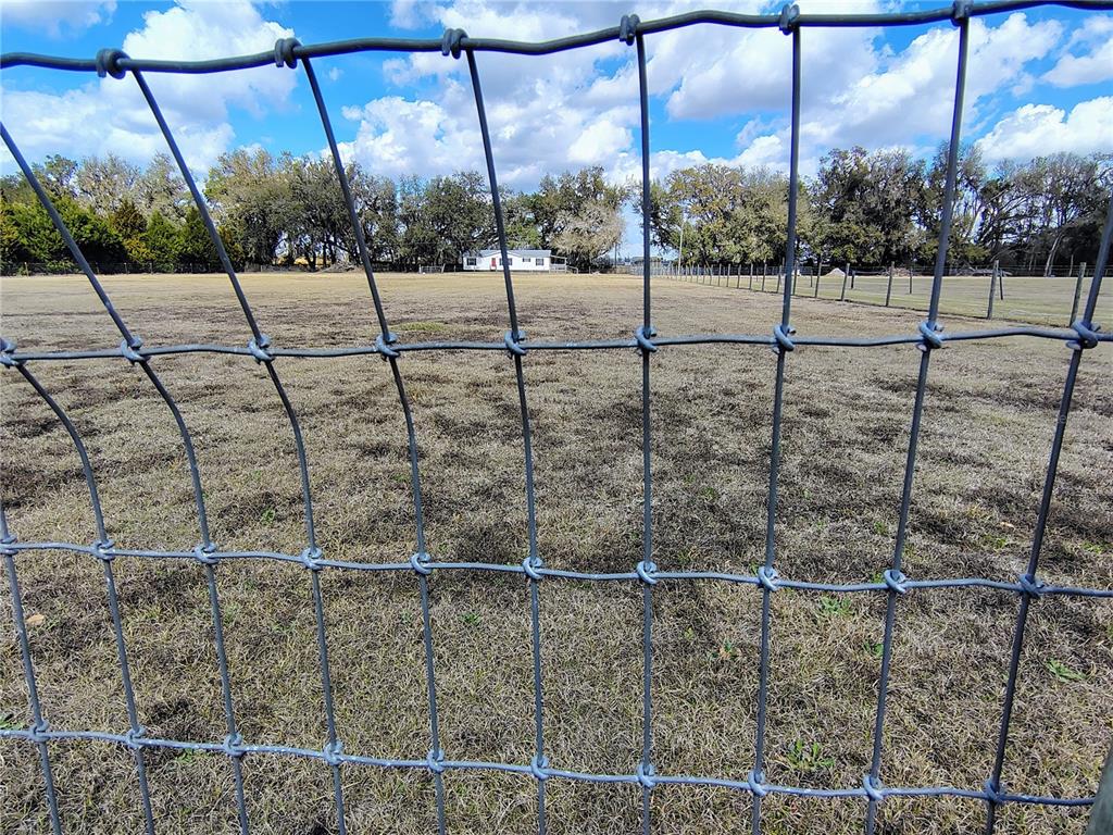 14240 State Rte 471 Webster, FL 33597 - Photo 52 of 54 a view of a outdoor space