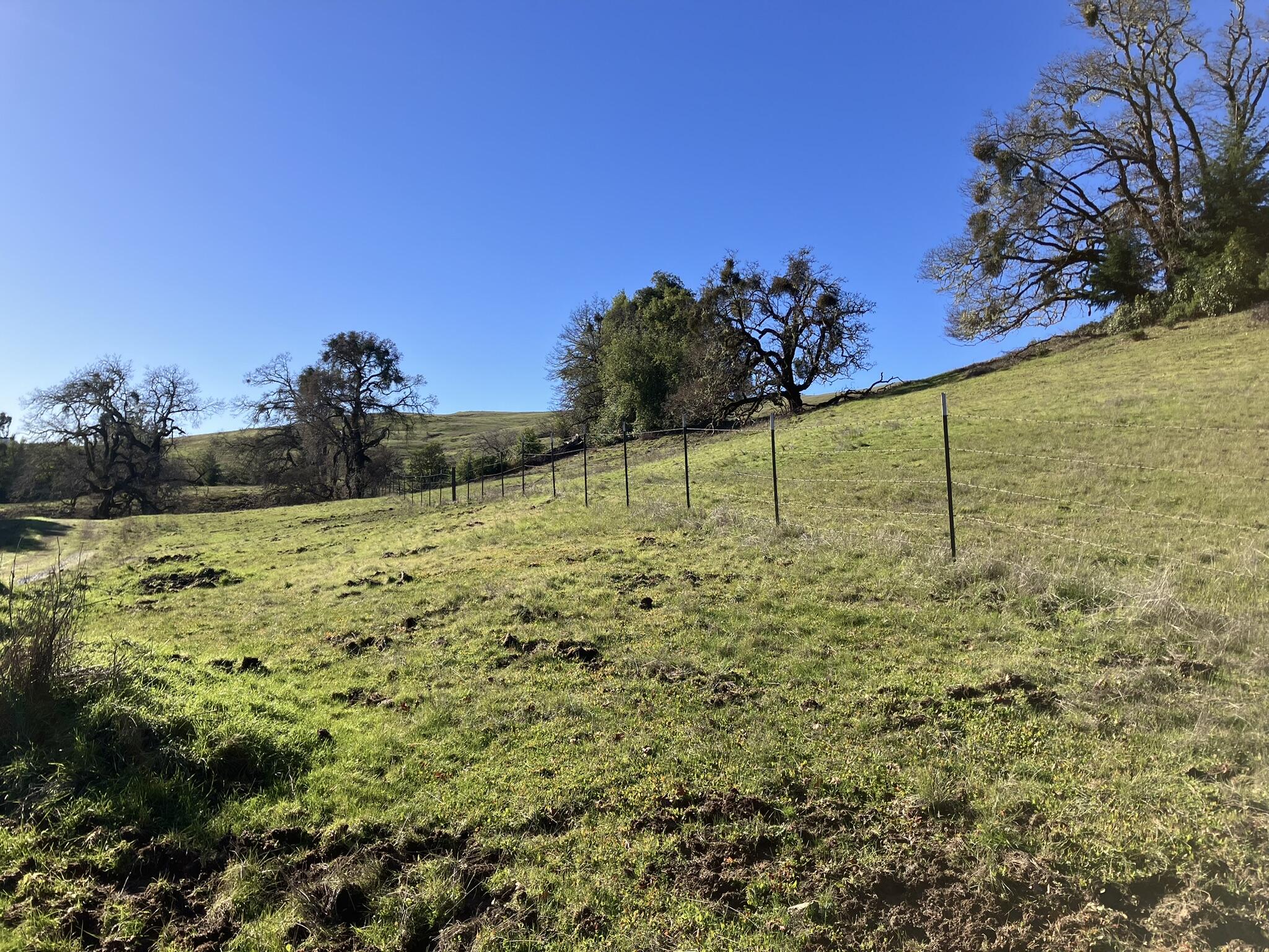 123 Cemetery Road Blocksburg, CA 95514 - Photo 3 of 36