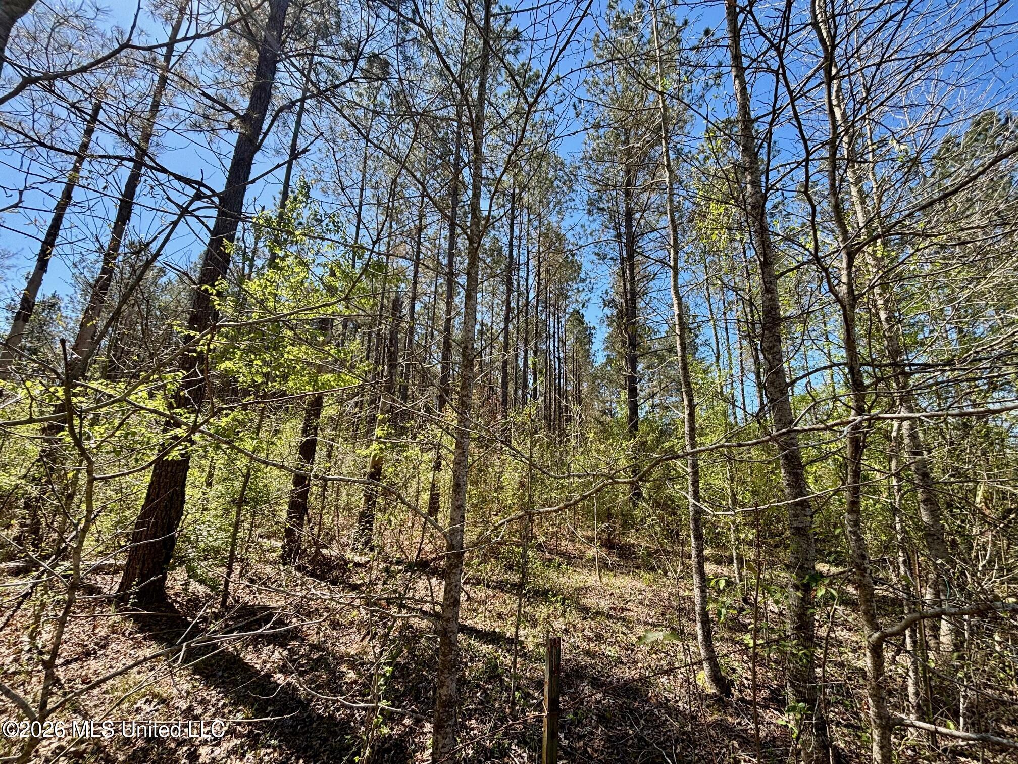 Southeast Evans Loop Southeast Ruth, MS 39662 - Photo 2 of 5 IMG_2972