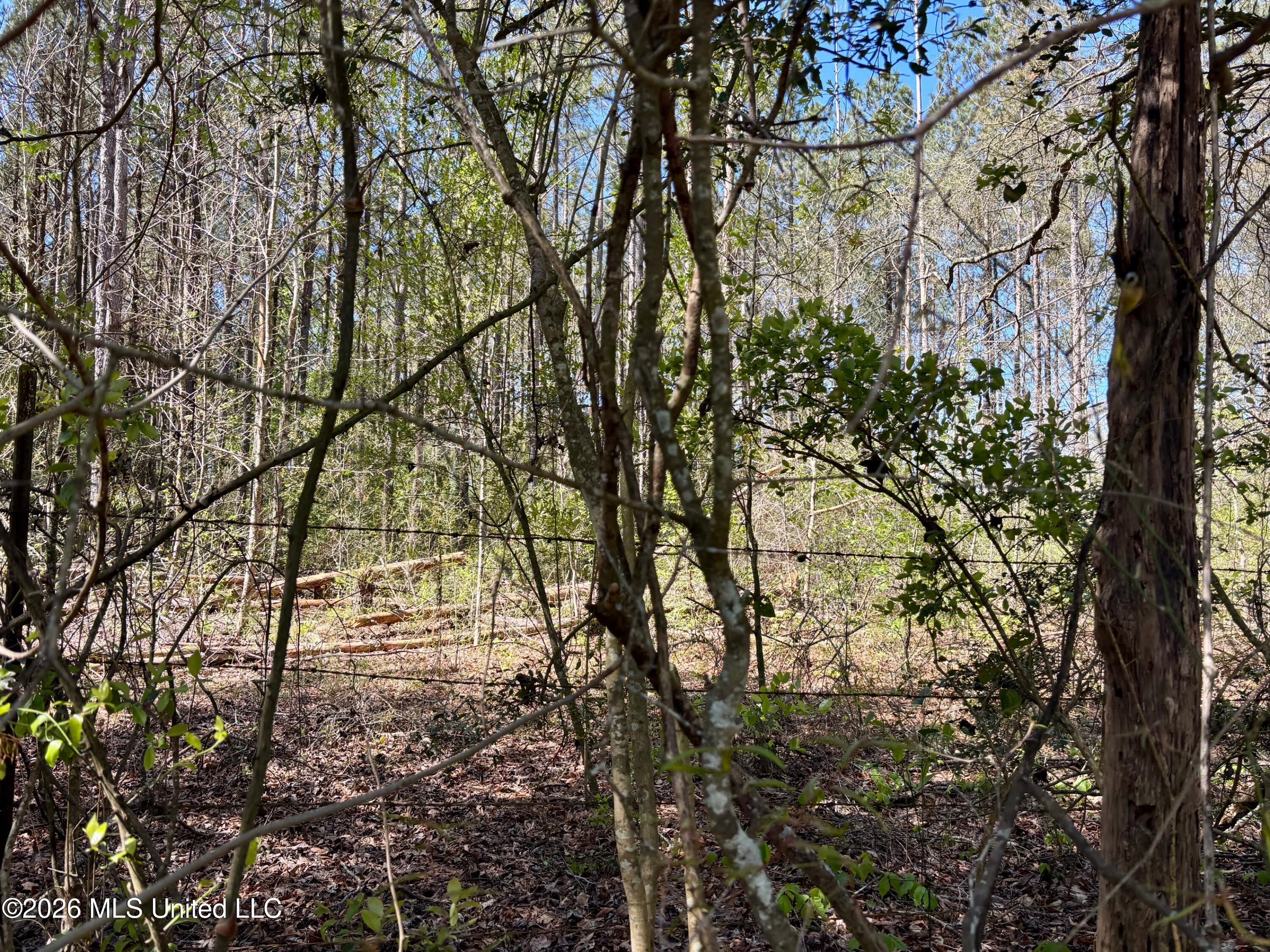 Southeast Evans Loop Southeast Ruth, MS 39662 - Photo 3 of 5 IMG_2971