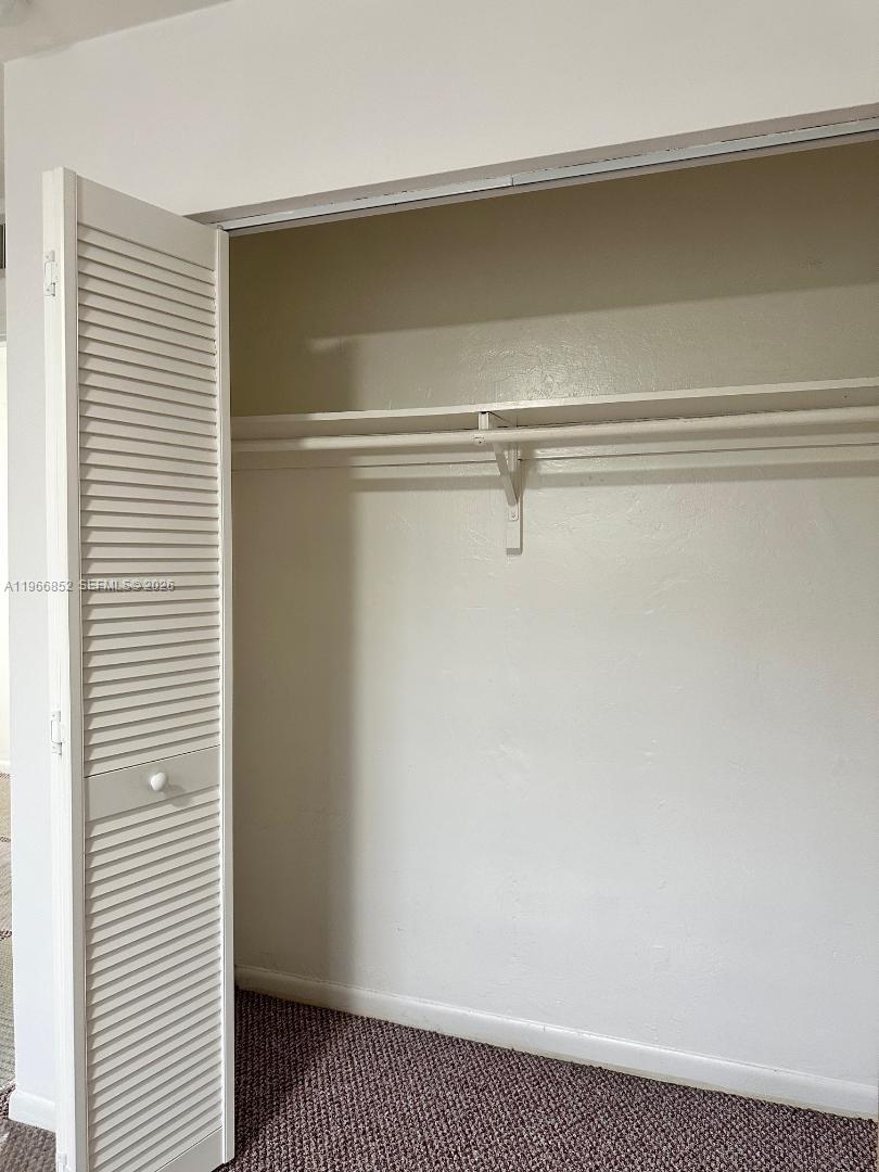 7205 West 3rd Avenue Hialeah, FL 33014 - Photo 26 of 28 a close view of closet