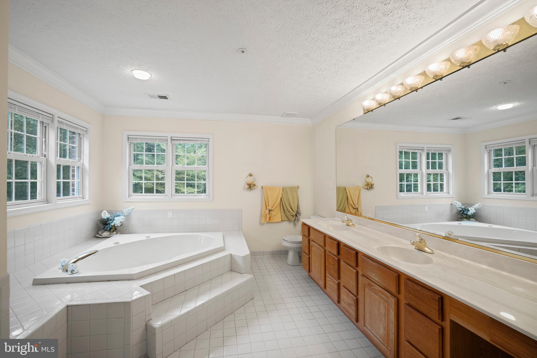 16035 Accolawn Road Accokeek, MD 20607 - Photo 38 of 67 Master Bathroom