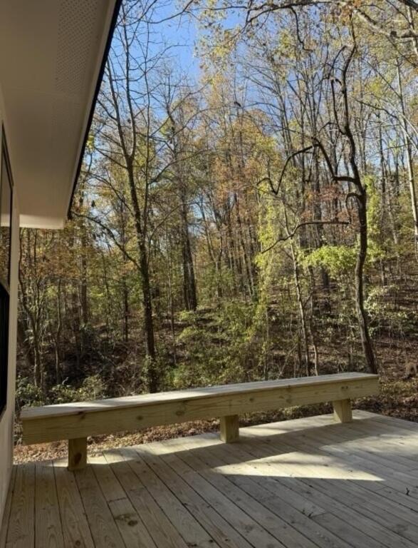 1161 Ridgeway Avenue Signal Mountain, TN 37377 - Photo 50 of 53 50-Photo 50