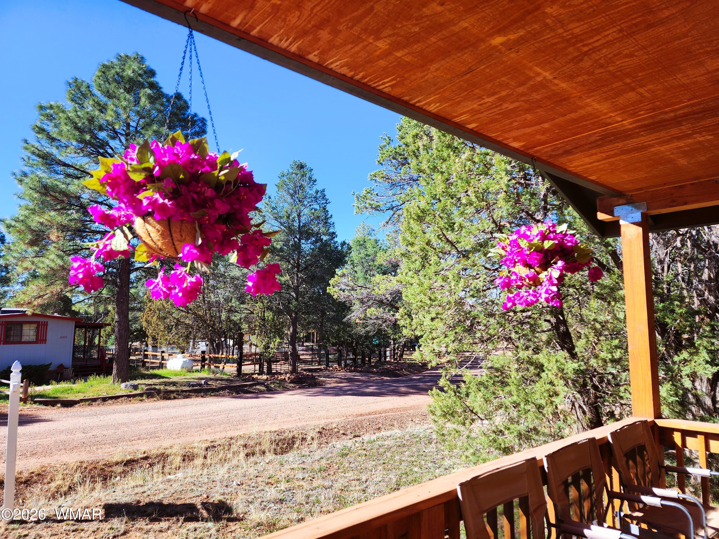 2086 Pinewood Drive Overgaard, AZ 85933 - Photo 39 of 39 Nice views from front porch