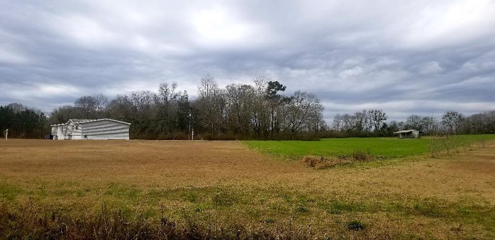 668 South Watford Road Slocomb, AL 36375 - Photo 1 of 1 Main View