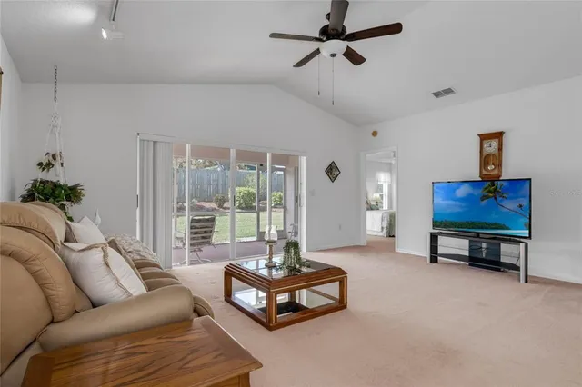 a living room with furniture a rug potted plant and a large window
