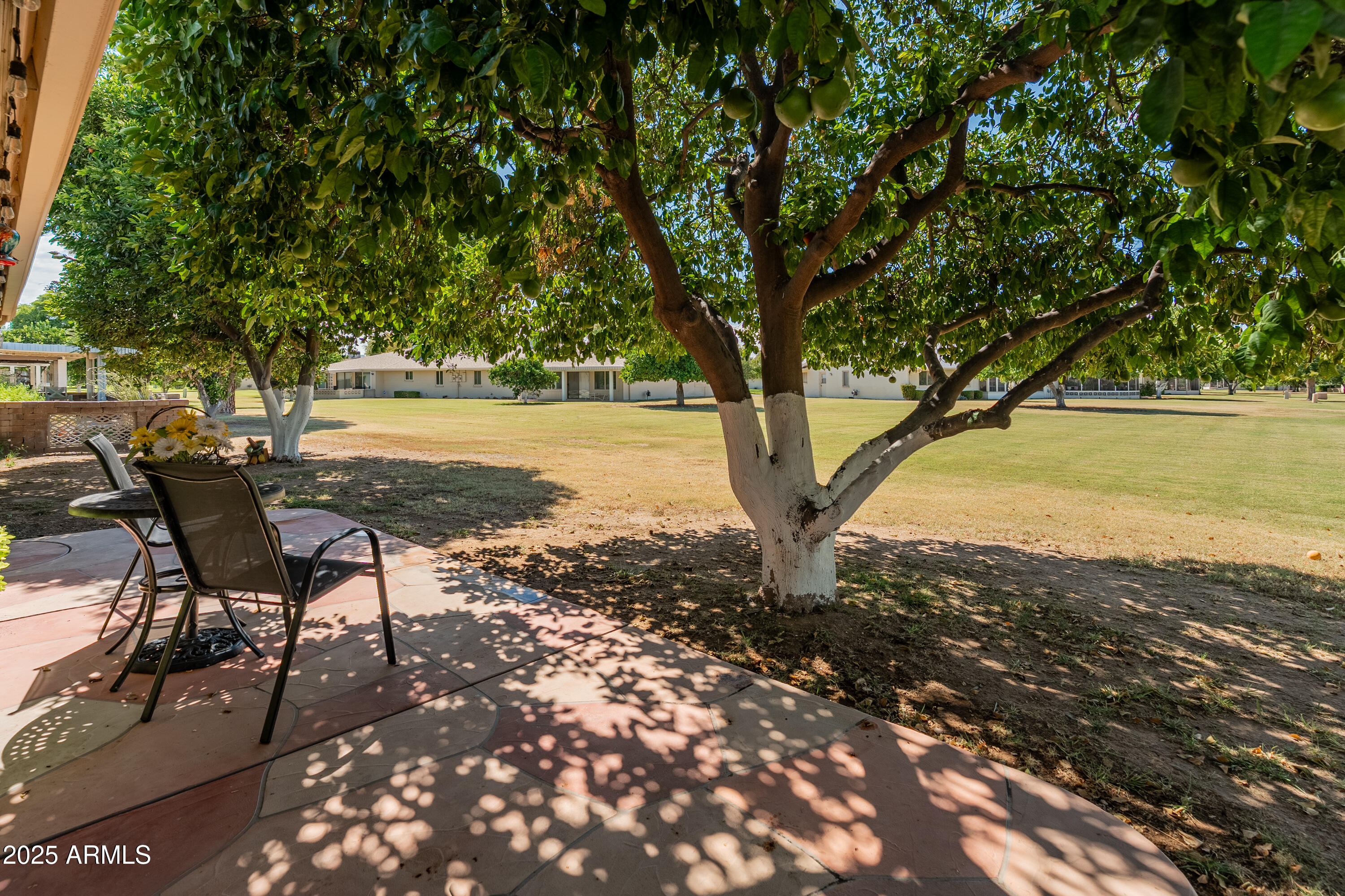 10229 West Bolivar Drive Sun City, AZ 85351 - Photo 34 of 54 a view of a yard with an outdoor space