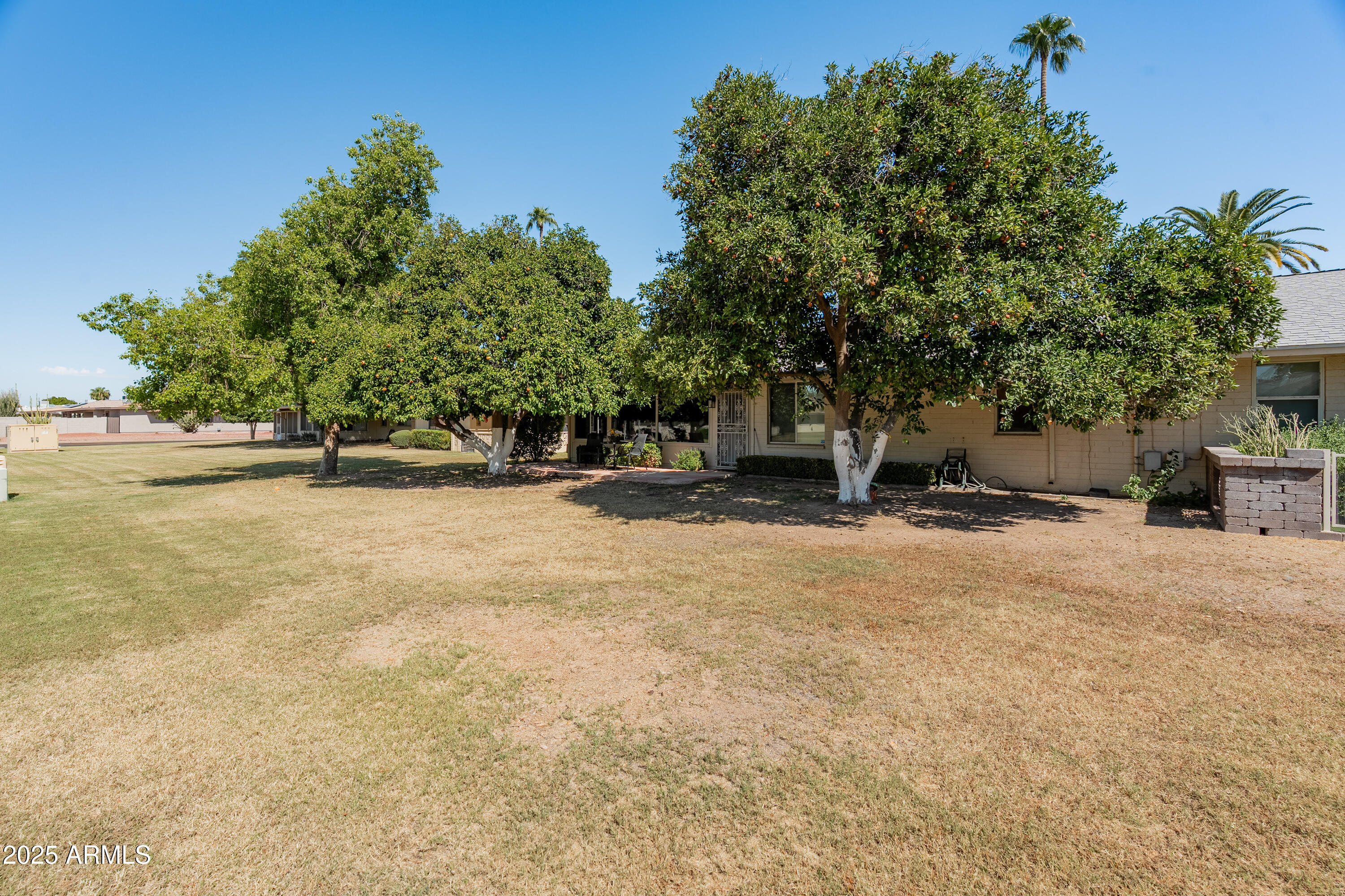 10229 West Bolivar Drive Sun City, AZ 85351 - Photo 49 of 54 a view of outdoor space and yard