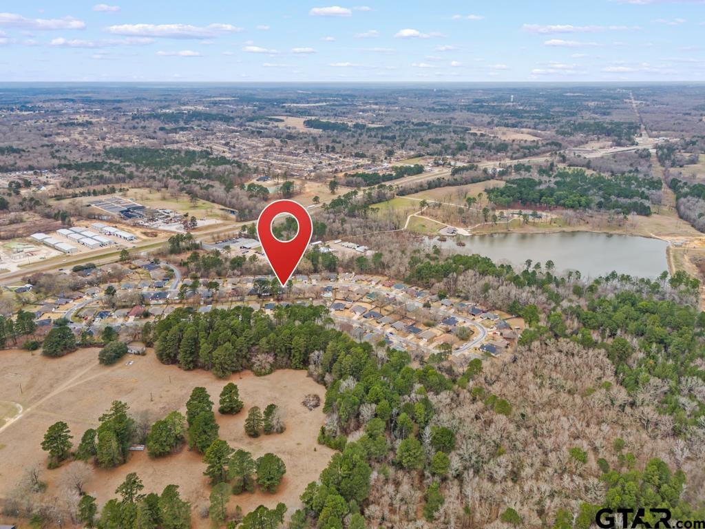 270 Frederick Circle Flint, TX 75762 - Photo 34 of 34 a view of a city and lake