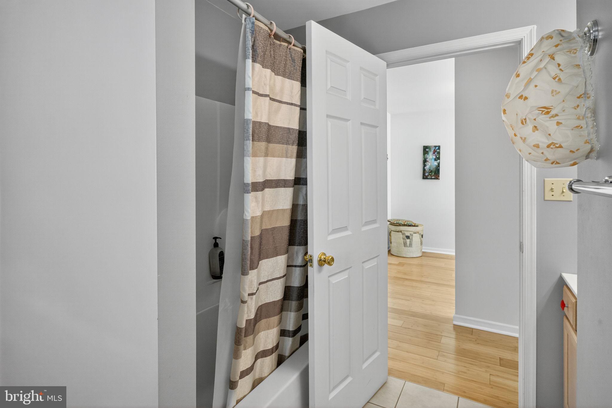 6779 Hickory Road Macungie, PA 18062 - Photo 40 of 51 walk in closet with wooden floor