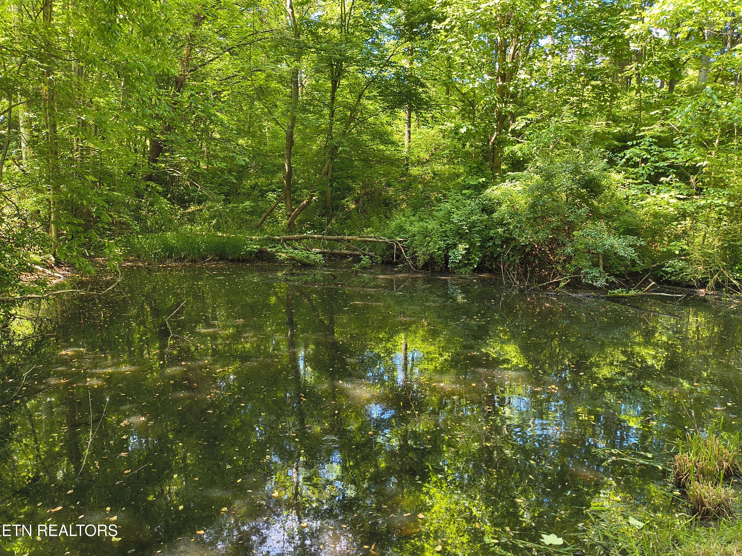 3552 Straight Fork Road Huntsville, TN 37756 - Photo 12 of 44 1000002823