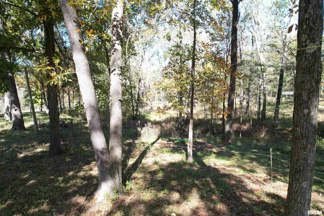 $89,900 | 0 Lusk Road, Golconda, IL 62938