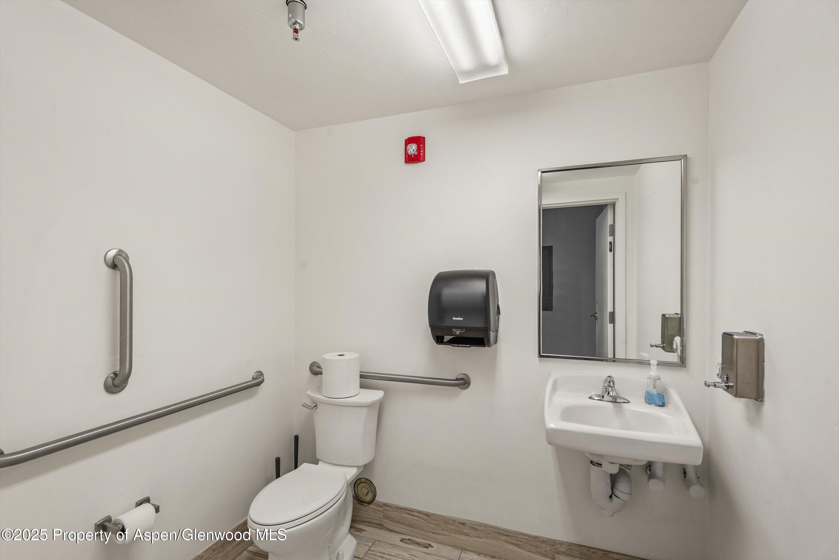 780 East Valley Road, Unit C126 Basalt, CO 81621 - Photo 7 of 9 a bathroom with a sink toilet and mirror