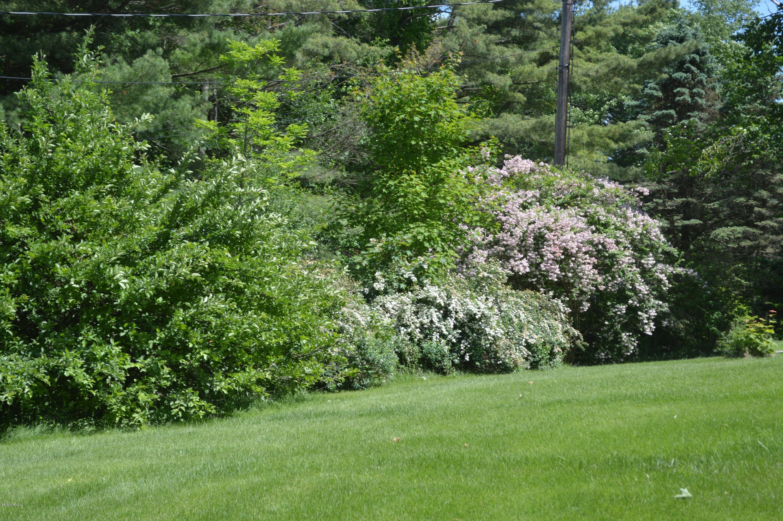 485 Devon Road Lee, MA 01238 - Photo 20 of 28 a view of a lush green space