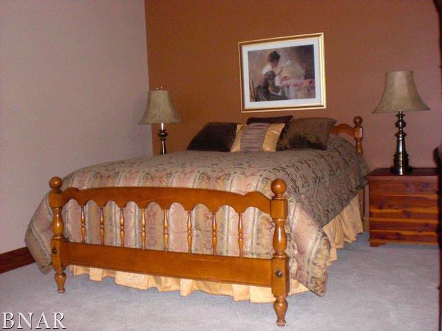 3464 Kickapoo Road Waynesville, IL 61778 - Photo 22 of 30