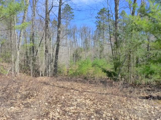9999 Forest Drive, Unit LOT 1 Rhinelander, WI 54501 - Photo 3 of 9 Gallery Image 3