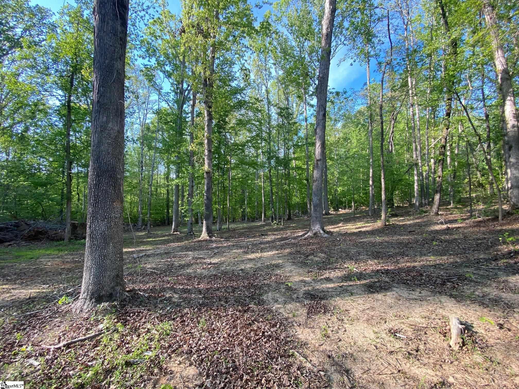 560 Carousel Road Gray Court, SC 29645 - Photo 5 of 39