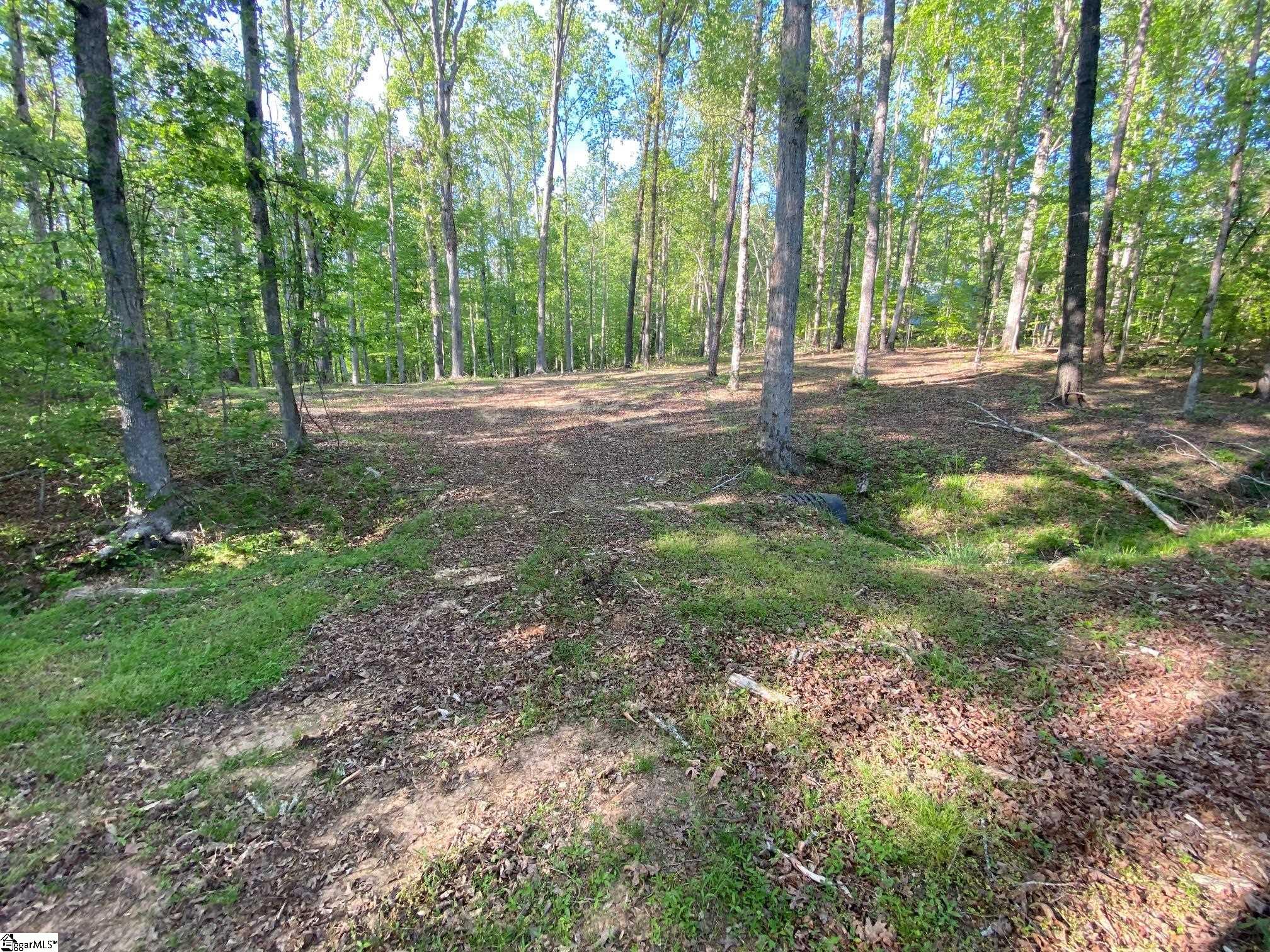 560 Carousel Road Gray Court, SC 29645 - Photo 6 of 39