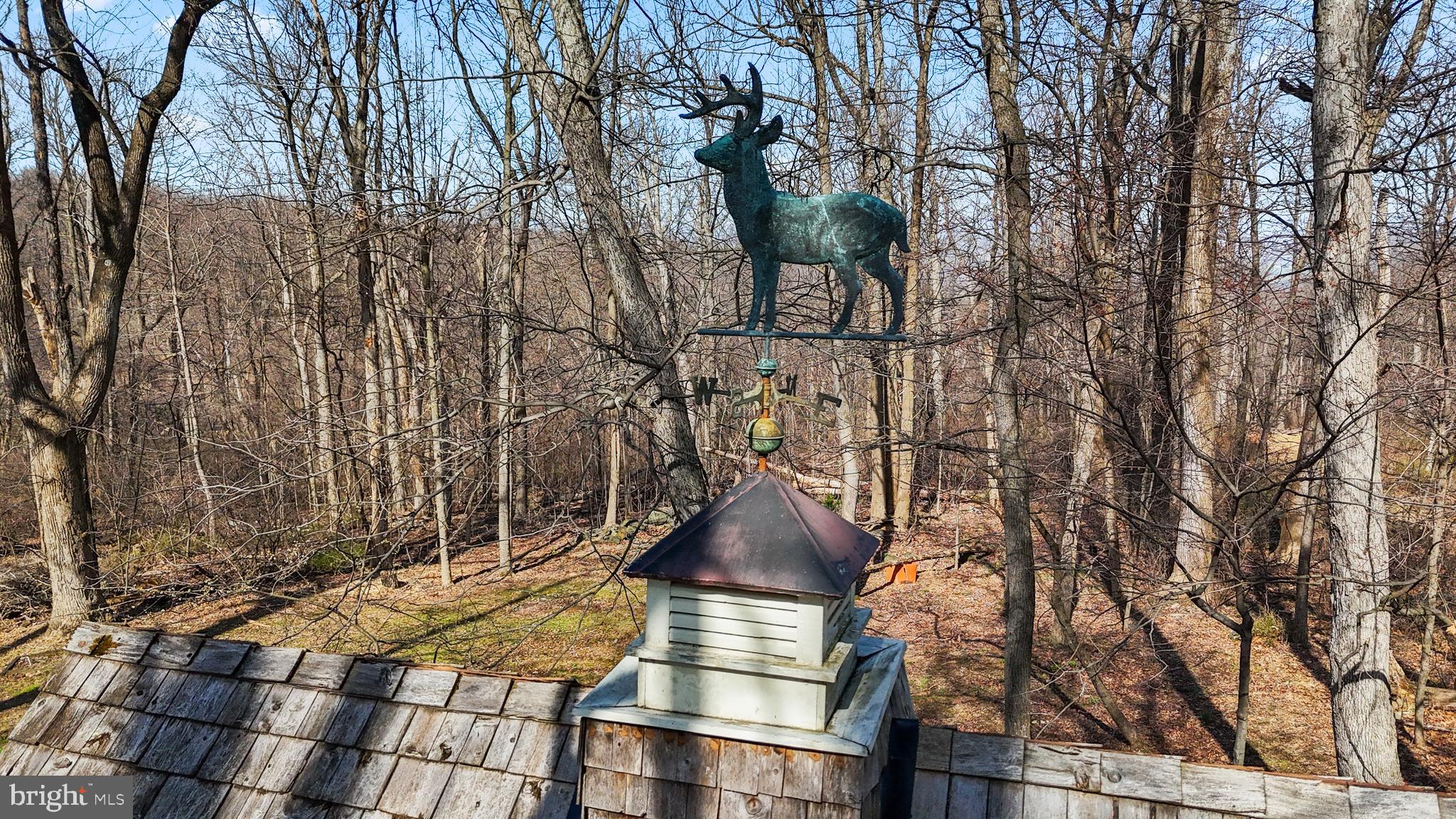 17641 Raven Rocks Road Bluemont, VA 20135 - Photo 81 of 109 Cupola with Deer Weathervane adorn the Studio