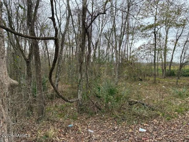 $30,000 | Lot 11 Par Road 304, New Iberia, LA 70563