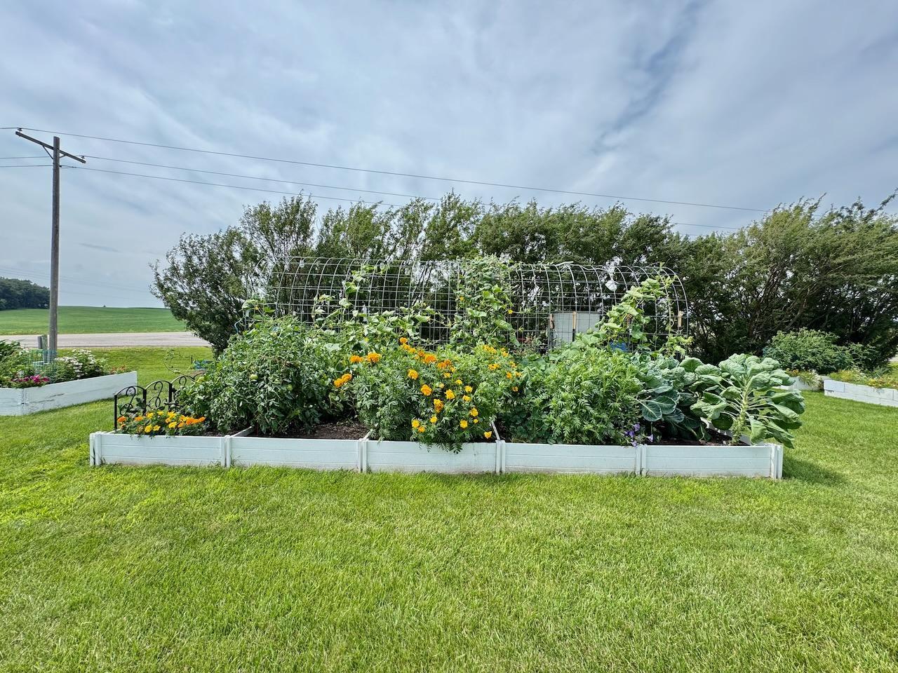 27015 Co Highway 1 Fergus Falls, MN 56537 - Photo 51 of 66