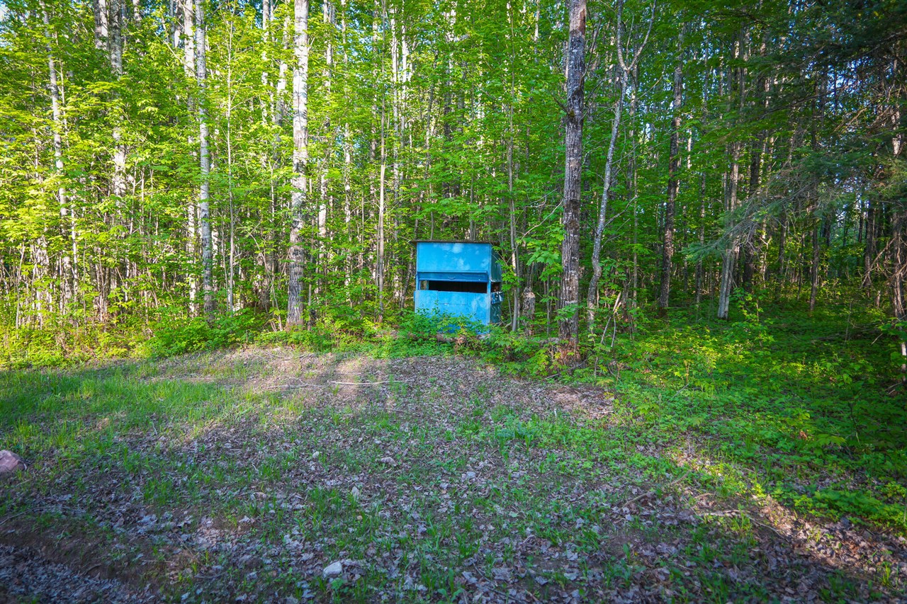 V/l V/l 33rd Road Gladstone, MI 49837 - Photo 42 of 70